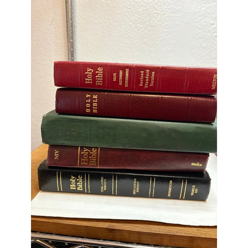 Lot of 5 Vintage Holy Bibles KJV NIV RSV Mixed Translations World Melton Biblica